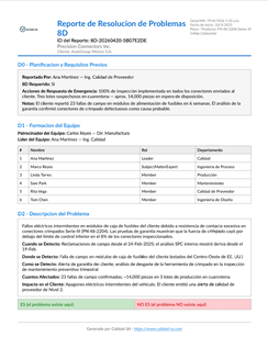 Sample 8D Problem Solving report